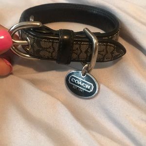 Coach dog collar